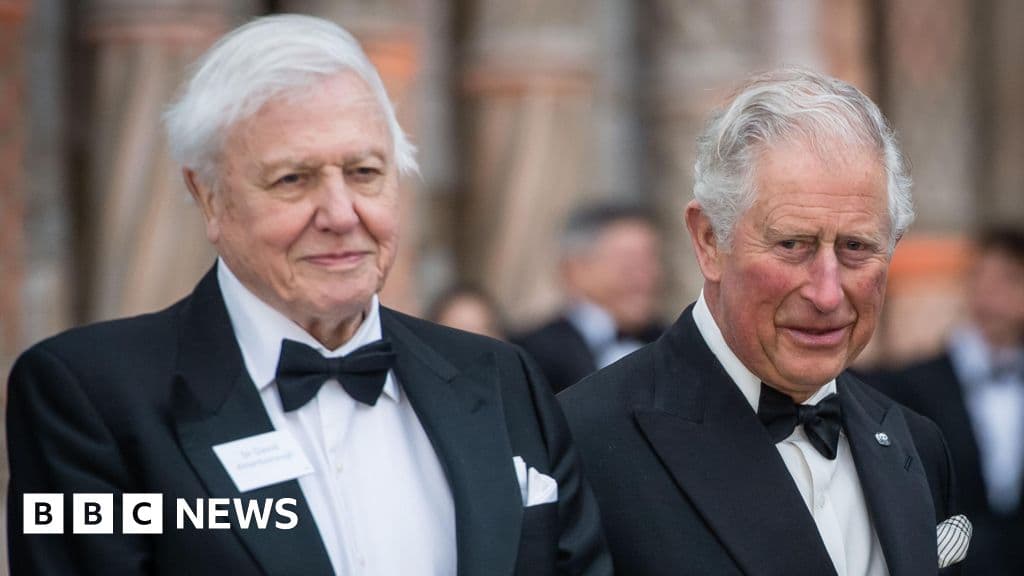 David Attenborough Turns 100: A Life Spent Speaking for the Planet