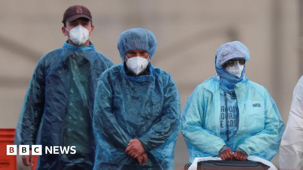 Hantavirus Cases Linked to Antarctic Cruise Ship: What Travelers Need to Know